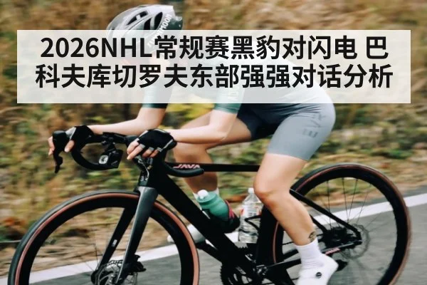 2026NHL常规赛黑豹对闪电 巴科夫库切罗夫东部强强对话分析