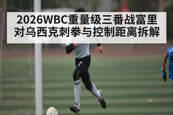 2026WBC重量级三番战富里对乌西克刺拳与控制距离拆解